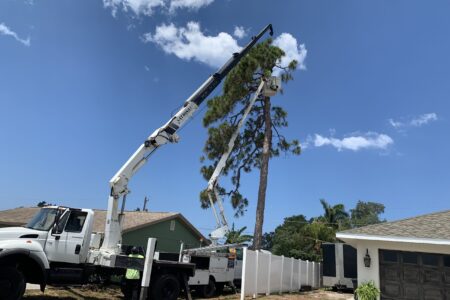 Crane_And_Bucket Crane_And_Bucket